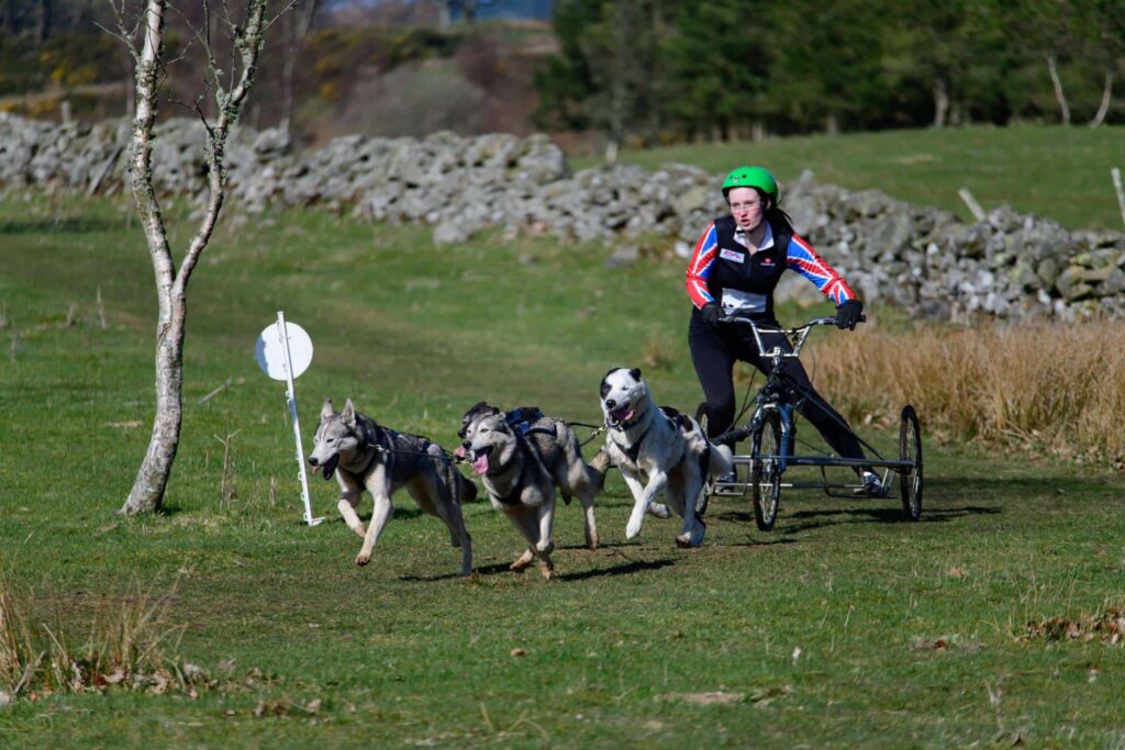 Kayleigh Thru The Years