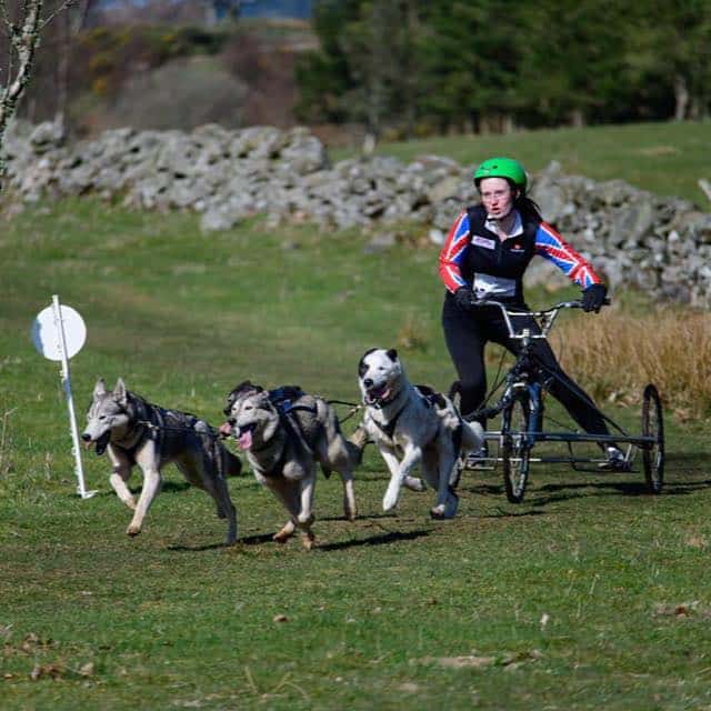 Kayleigh Thru The Years