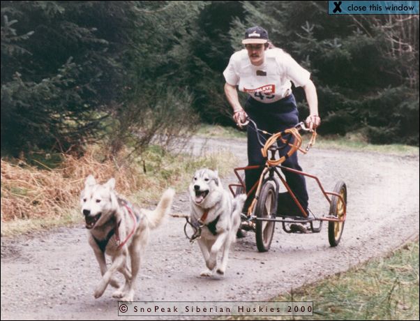 2000 Sled Dog Rally Season