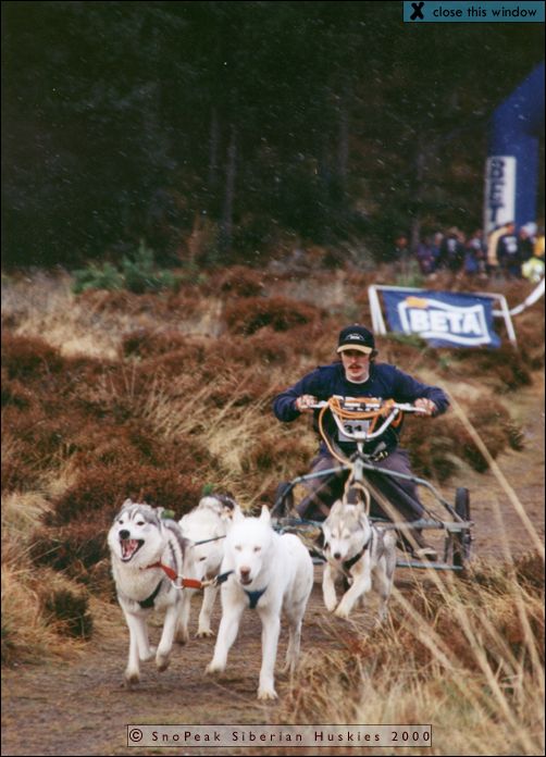 SHGB Aviemore Sled Dog Rally 2000