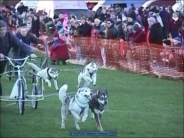 Edinburgh's Hogmanay - Dogmanay 2002