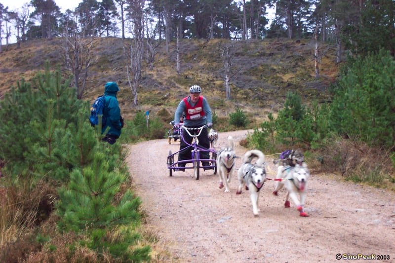SHGB Aviemore Sled Dog Rally 2003