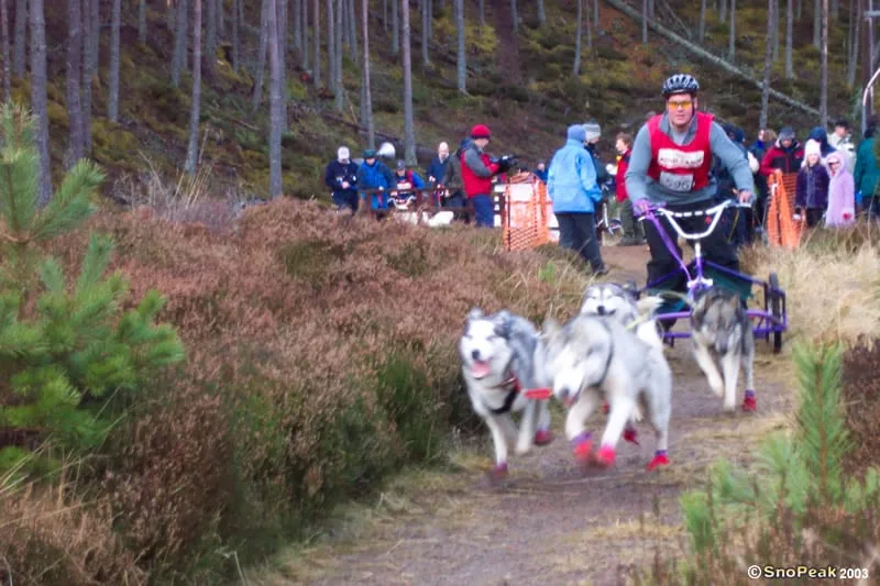 SHGB Aviemore Sled Dog Rally 2003
