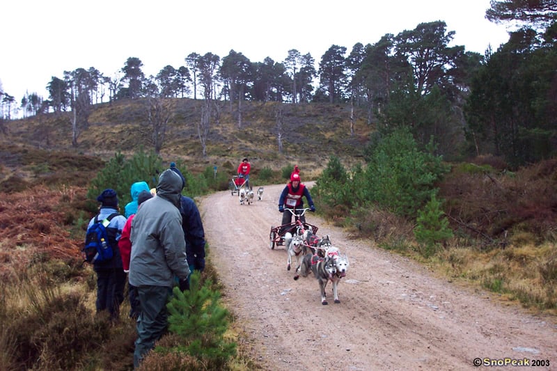 SHGB Aviemore Sled Dog Rally 2003