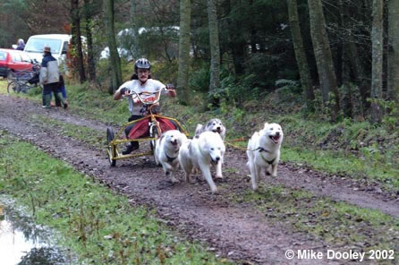 2002 Sled Dog Rally Season