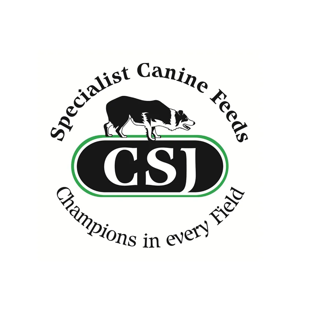CSJ Logo