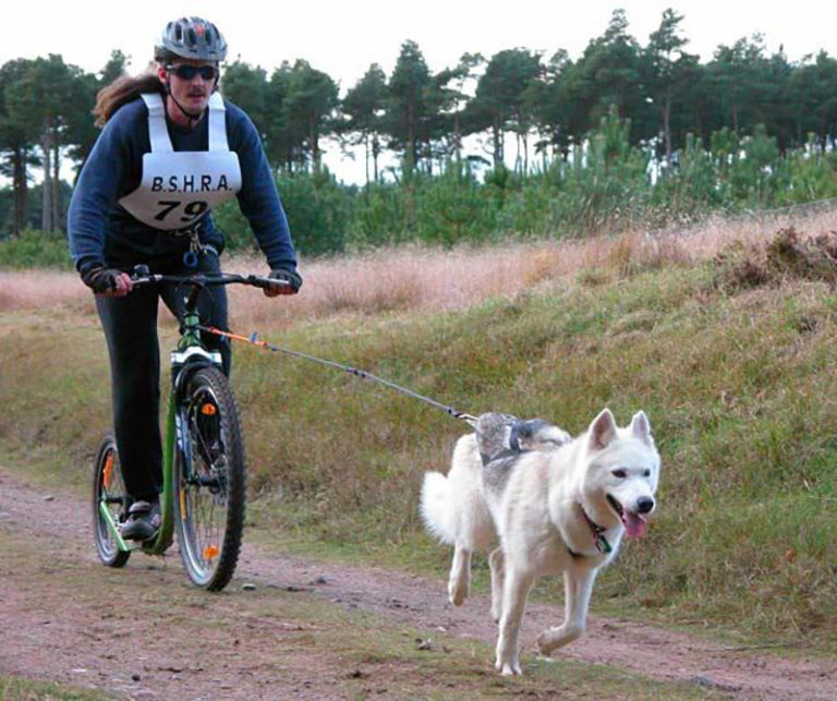 Snopeak Racing Team - Askje