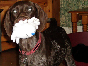 Snopeak Racing Team - Briar