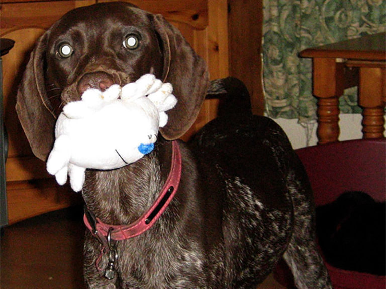 Snopeak Racing Team - Briar