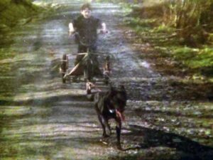 Snopeak Racing Team - Tina