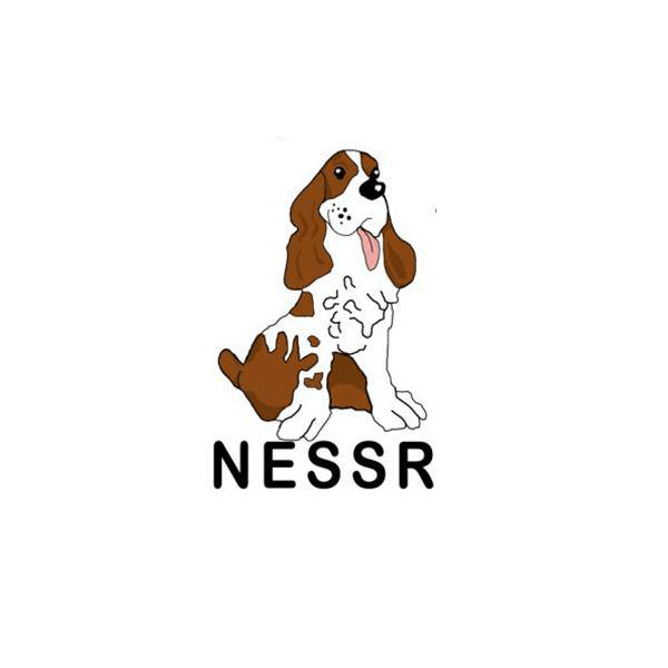 NESSR Logo