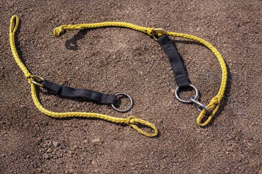 Yellow rope with rings