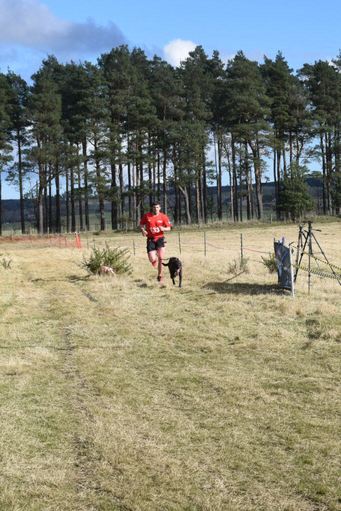 Runner and dog cross country race