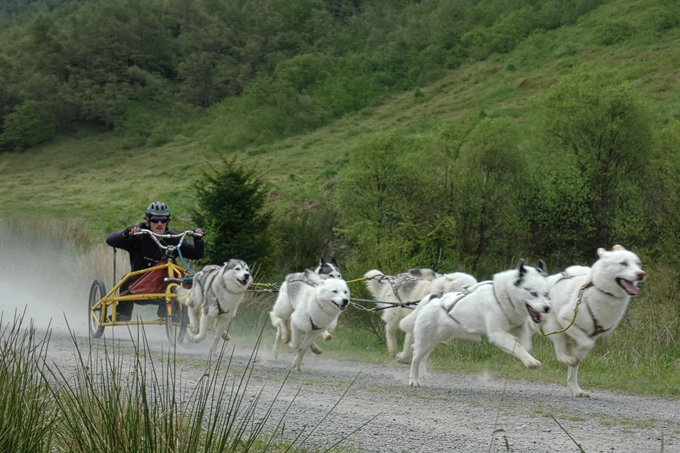 Snopeak team in action